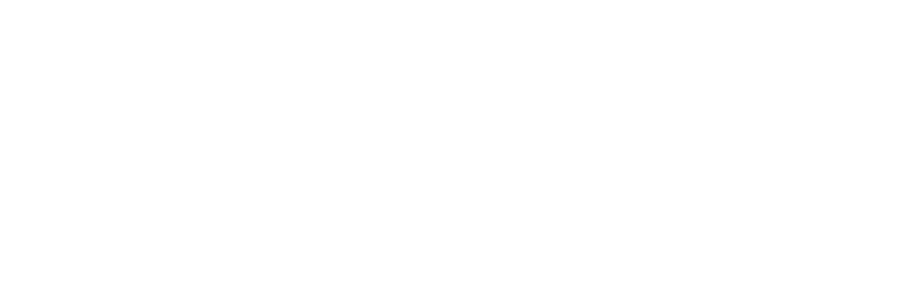 visa payment